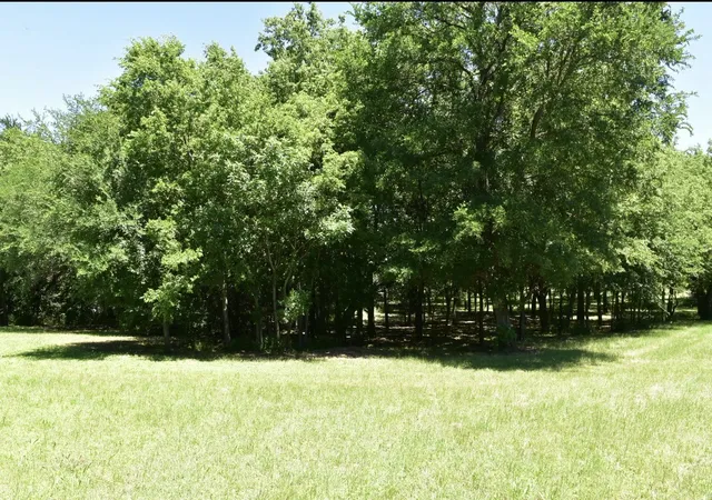4th image of 2955 Muirfield, Cedar Hill, TX 75104 | MLS# 21317724