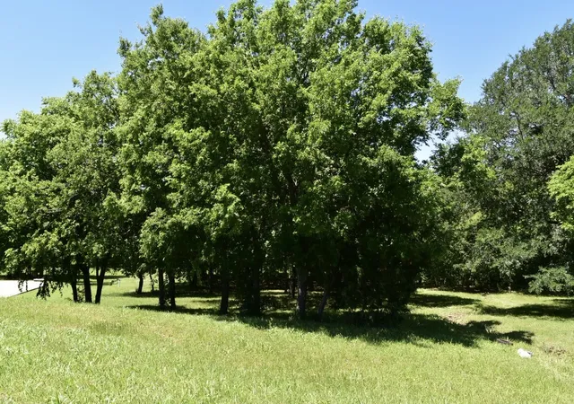 7th image of 2955 Muirfield, Cedar Hill, TX 75104 | MLS# 21317724