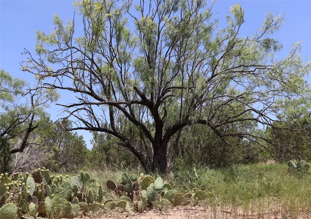 Photo 2 of Land for sale at 1234 Rr11 Recreational Road 11, Millersview, TX 76862 | MLS# 21317813 | Listing updated on 2026-09-20