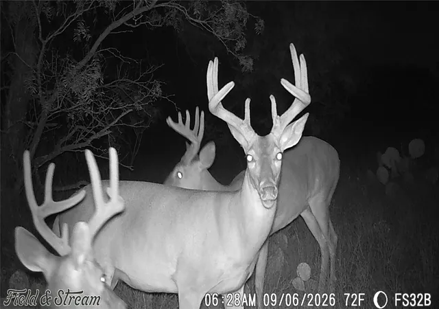 Photo 1 of Land for sale at 1234 Rr11 Recreational Road 11, Millersview, TX 76862 | MLS# 21317813 | Listing updated on 2026-09-20