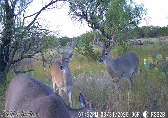 Photo 3 of Land for sale at 1234 Rr11 Recreational Road 11, Millersview, TX 76862 | MLS# 21317813 | Listing updated on 2026-09-20