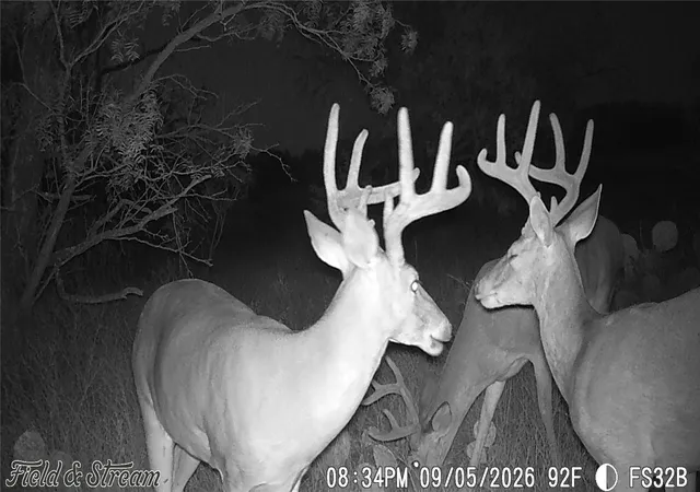 Photo 4 of Land for sale at 1234 Rr11 Recreational Road 11, Millersview, TX 76862 | MLS# 21317813 | Listing updated on 2026-09-20