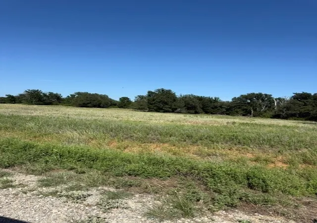 Homes for sale in Mingus, TX | Tbd Ridgeview Ct, Mingus, TX 76463 | MLS# 21315416