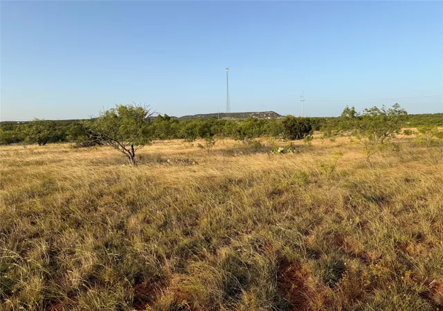 Homes for sale in Ovalo, TX | Tbd Tr 4 Fm 604, Ovalo, TX 79541 | MLS# 21318308