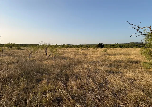 Homes for sale in Ovalo, TX | Tbd Tr 4 Fm 604, Ovalo, TX 79541 | MLS# 21318308