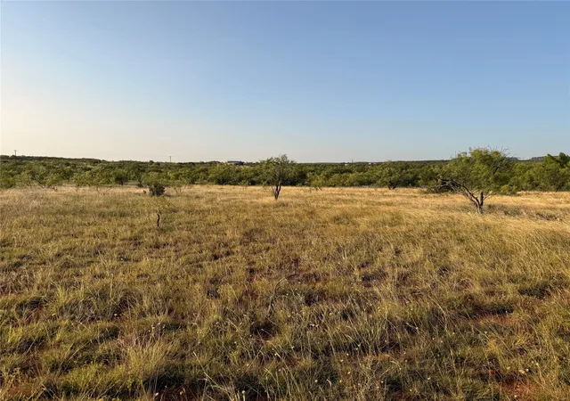 Homes for sale in Ovalo, TX | Tbd Tr 4 Fm 604, Ovalo, TX 79541 | MLS# 21318308