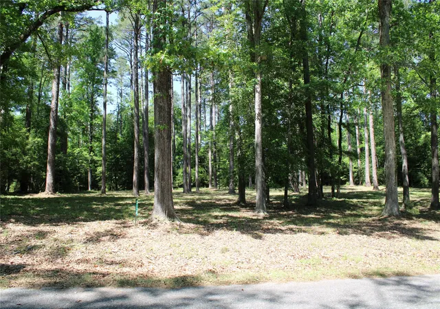 Land for sale at 356 Woodsway Cir, Chatham, LA 71226 | MLS# 21316506