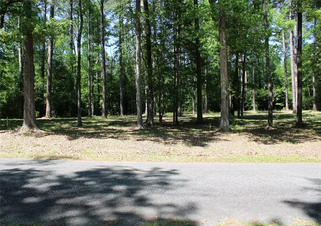 Photo 2 of Land for sale at 356 Woodsway Cir, Chatham, LA 71226 | MLS# 21316506 | Listing updated on 2026-08-22