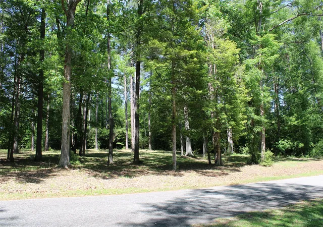 Photo 3 of Land for sale at 356 Woodsway Cir, Chatham, LA 71226 | MLS# 21316506 | Listing updated on 2026-08-22