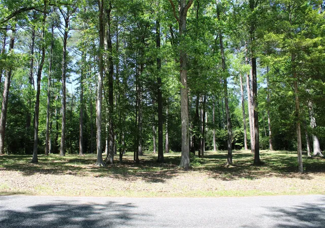 Photo 3 of Land for sale at 356 Woodsway Cir, Chatham, LA 71226 | MLS# 21316506 | Listing updated on 2026-08-22