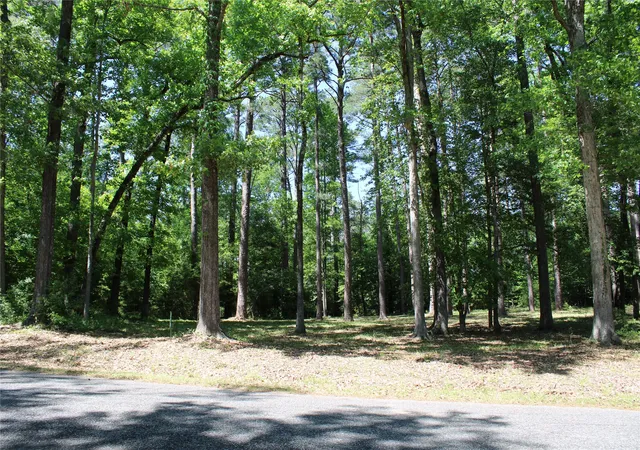 Photo 4 of Land for sale at 356 Woodsway Cir, Chatham, LA 71226 | MLS# 21316506 | Listing updated on 2026-08-22