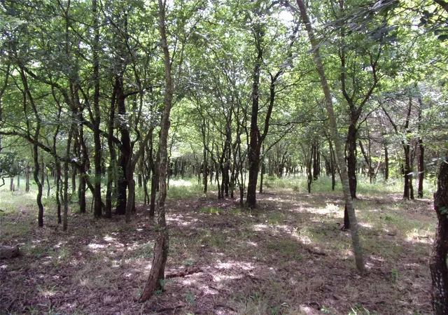 30th image of 4172 Willow Oak Bend, Royse City, TX 75189 | MLS# 21318419