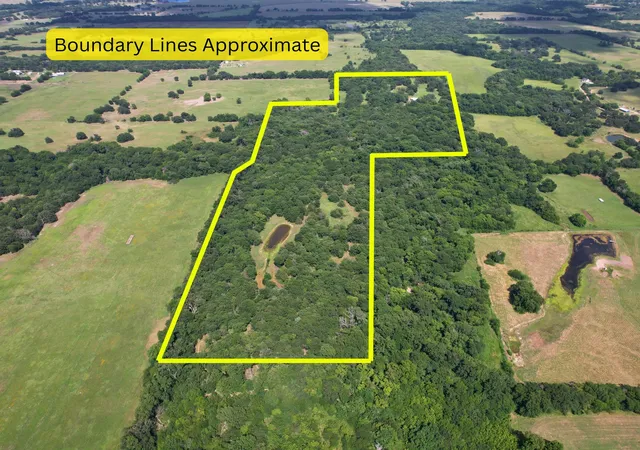 Homes for sale in Cumby, TX | Tbd County Road 4719, Cumby, TX 75433 | MLS# 21318213
