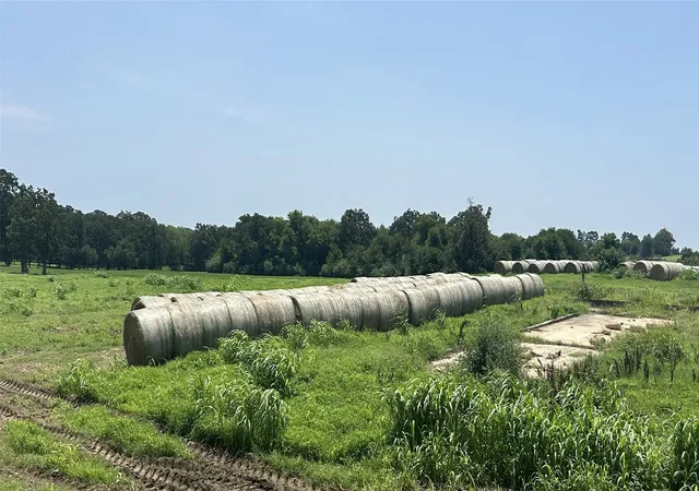Photo 1 of Land for sale at Lot 3 County Road 3358, Saltillo, TX 75478 | MLS# 21317510 | Listing updated on 2026-08-19