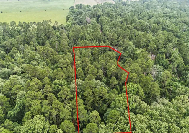 Photo 4 of Land for sale at Tbd Valleywood Cvs, Holly Lake Ranch, TX 75765 | MLS# 21311785 | Listing updated on 2026-09-15