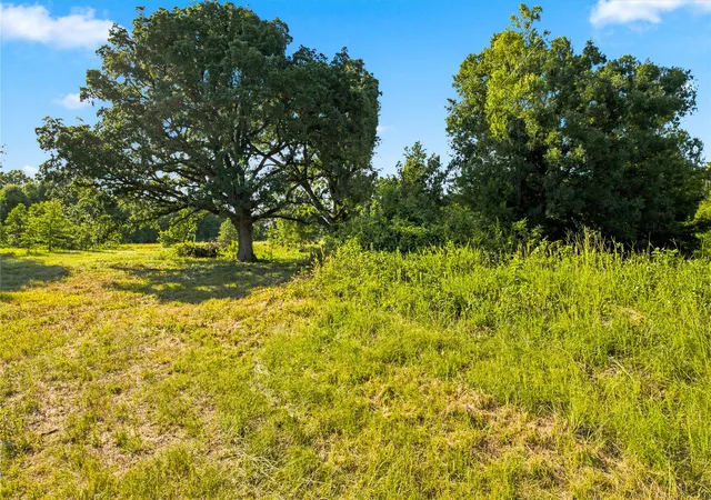 Photo 3 of Land for sale at 610 County Road 2040, Klondike, TX 75448 | MLS# 21318821 | Listing updated on 2026-08-22