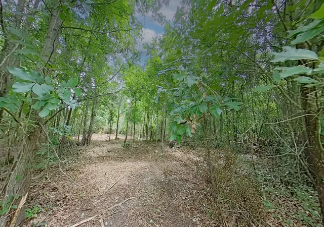Photo 2 of Land for sale at 0 Treebark, Texarkana, AR 71854 | MLS# 21319249 | Listing updated on 2026-09-05
