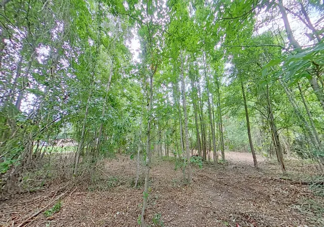 Photo 3 of Land for sale at 0 Treebark, Texarkana, AR 71854 | MLS# 21319249 | Listing updated on 2026-09-05