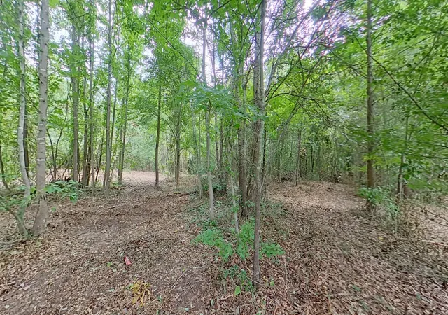 Photo 4 of Land for sale at 0 Treebark, Texarkana, AR 71854 | MLS# 21319249 | Listing updated on 2026-09-05