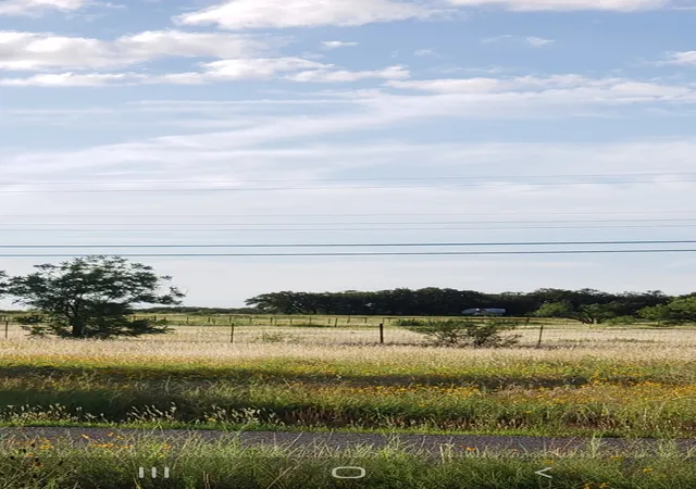 Homes for sale in Bangs, TX | Tbd County Road 183 Road, Bangs, TX 76823 | MLS# 21319265