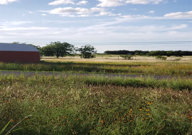 Homes for sale in Bangs, TX | Tbd County Road 183 Road, Bangs, TX 76823 | MLS# 21319265