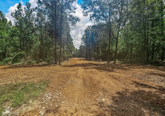3rd image of 0 Alden Bridge Loop, Benton, LA 71006 | MLS# 21319319