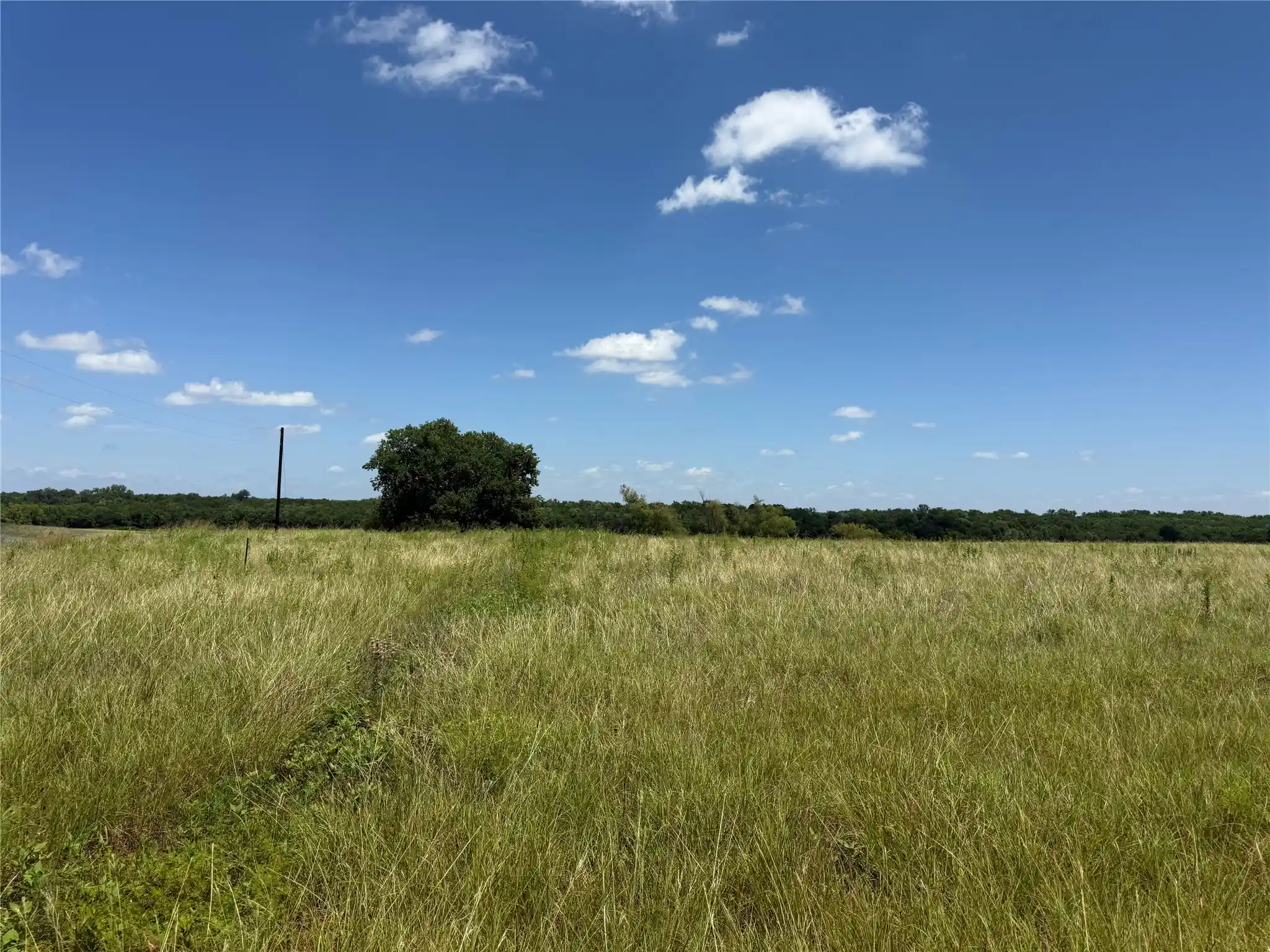 Photo 1 of Land for sale at 01 Cr 3550, Honey Grove, TX 75446 | MLS# 21319492 | Listing updated on 2026-07-03