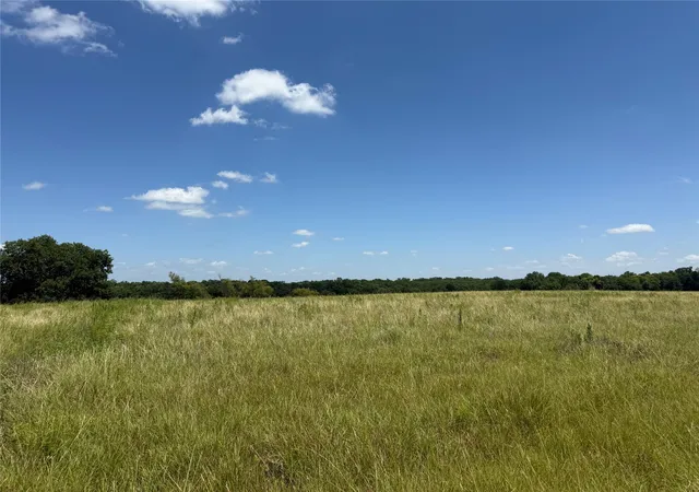 Homes for sale in Honey Grove, TX | 01 Cr 3550, Honey Grove, TX 75446 | MLS# 21319492