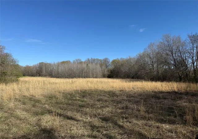 Photo 3 of Sale Pending at Tbd County Road 44250, Powderly, TX 75473 | MLS# 21319551 | Listing updated on 2026-07-17