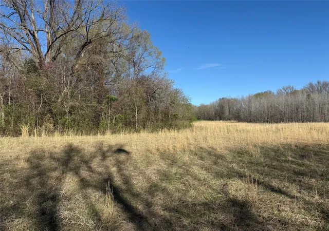 Photo 3 of Sale Pending at Tbd County Road 44250, Powderly, TX 75473 | MLS# 21319551 | Listing updated on 2026-07-17
