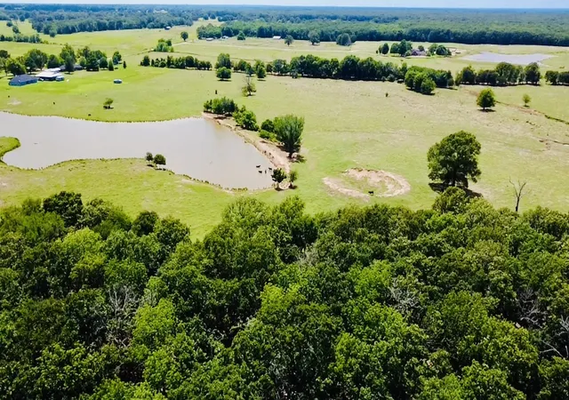 Homes for sale in Blossom, TX | 1963 County Road 44750, Blossom, TX 75416 | MLS# 21319582