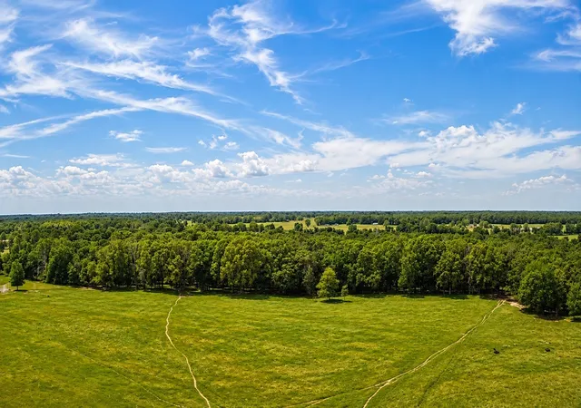 Homes for sale in Blossom, TX | 1963 County Road 44750, Blossom, TX 75416 | MLS# 21319582