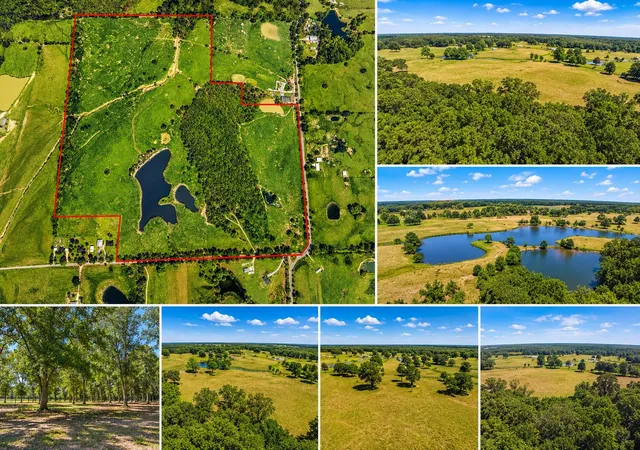 Homes for sale in Blossom, TX | 1963 County Road 44750, Blossom, TX 75416 | MLS# 21319582