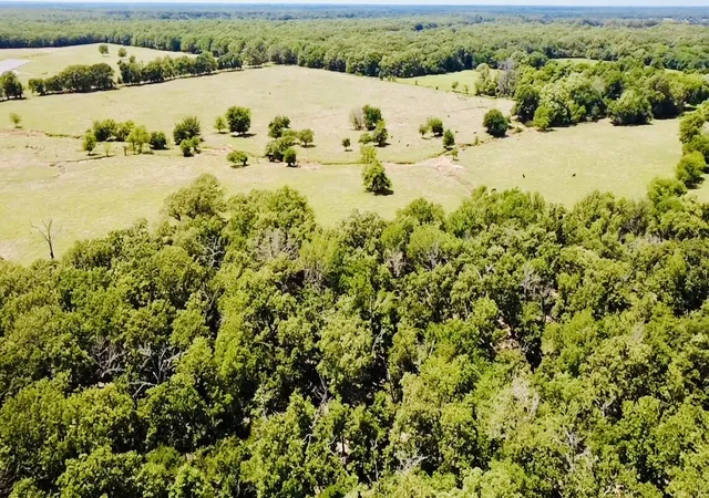 Homes for sale in Blossom, TX | 1963 County Road 44750, Blossom, TX 75416 | MLS# 21319582
