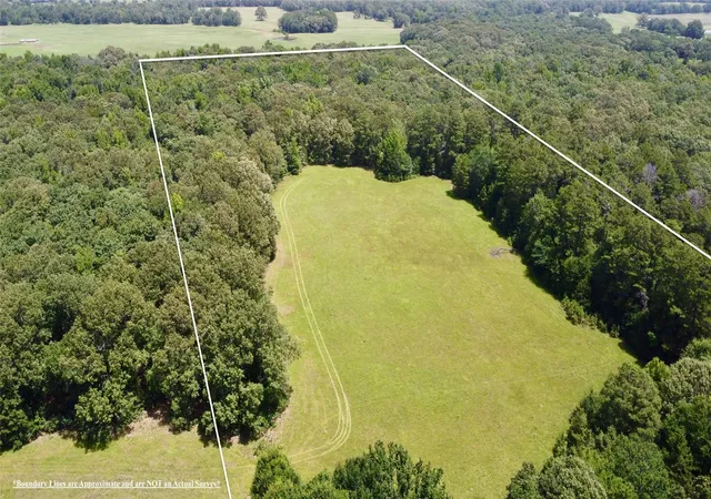 Homes for sale in Powderly, TX | Tbd Cr 44400 2, Powderly, TX 75473 | MLS# 21319619