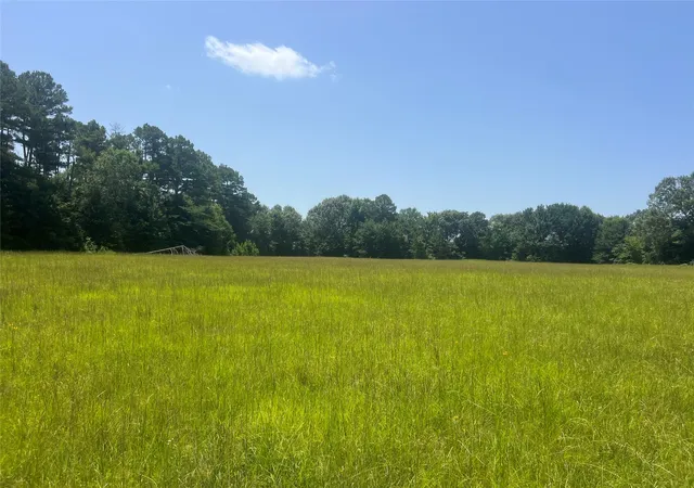 Homes for sale in Powderly, TX | Tbd Cr 44400 2, Powderly, TX 75473 | MLS# 21319619