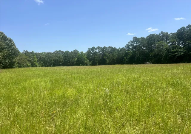 Homes for sale in Powderly, TX | Tbd Cr 44400-2, Powderly, TX 75473 | MLS# 21319619