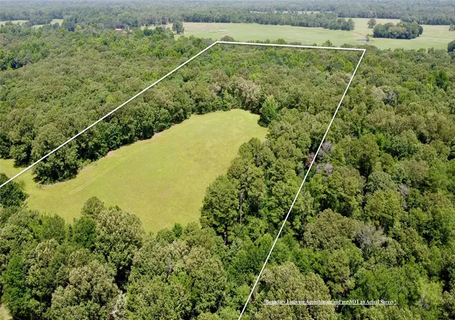 Homes for sale in Powderly, TX | Tbd Cr 44400-2, Powderly, TX 75473 | MLS# 21319619