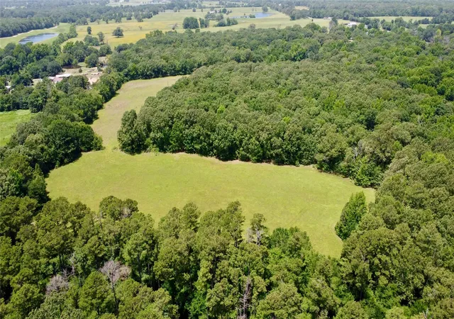 Homes for sale in Powderly, TX | Tbd Cr 44400 2, Powderly, TX 75473 | MLS# 21319619