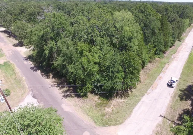 Homes for sale in Mabank, TX | 0 Mustang Dr, Mabank, TX 75156 | MLS# 21319631