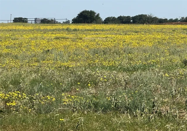 Photo 3 of Land for sale at 332 Sw Railroad Ave, Knox City, TX 79529 | MLS# 21319761 | Listing updated on 2026-09-30