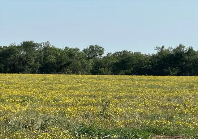 Photo 4 of Land for sale at 332 Sw Railroad Ave, Knox City, TX 79529 | MLS# 21319761 | Listing updated on 2026-09-30