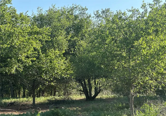 Photo 2 of Land for sale at 332 Sw Railroad Ave, Knox City, TX 79529 | MLS# 21319761 | Listing updated on 2026-09-30