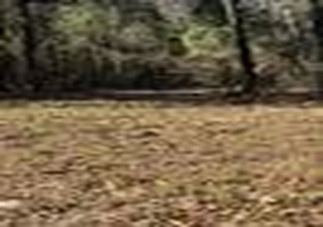 Homes for sale in Winnsboro, TX | 310 Private Road 8570, Winnsboro, TX 75494 | MLS# 21319762