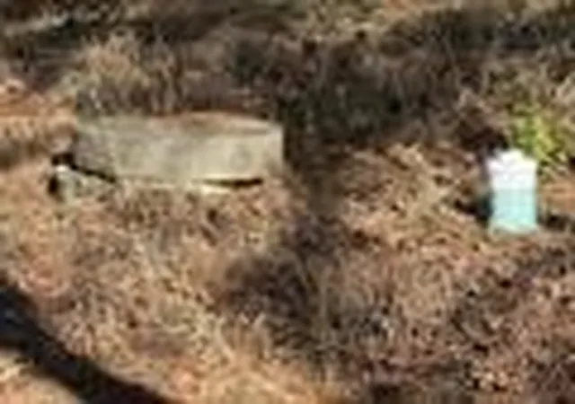 Photo 4 of Land for sale at 310 Private Road 8570, Winnsboro, TX 75494 | MLS# 21319762 | Listing updated on 2026-09-26
