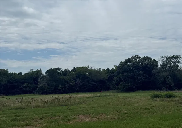 Photo 4 of Sale Pending at 000 County Rd 313 Co Rd 313, Terrell, TX 75161 | MLS# 21319526 | Listing updated on 2026-10-01