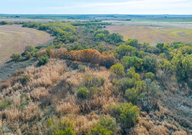 Homes for sale in Roby, TX | Tbd Fm 57, 160 Acres, Roby, TX 79543 | MLS# 21319860
