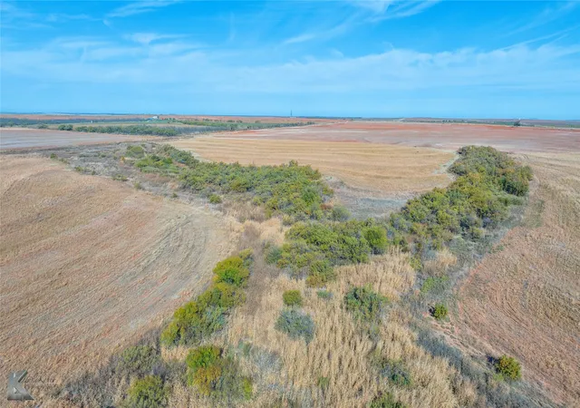 Homes for sale in Roby, TX | Tbd Fm 57, 160 Acres, Roby, TX 79543 | MLS# 21319860