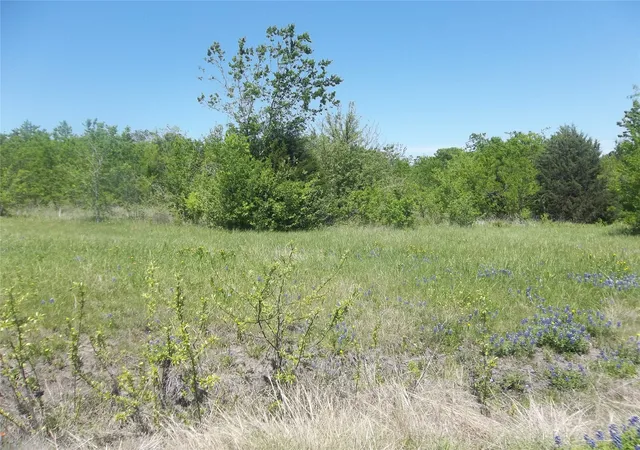 Homes for sale in Kerens, TX | 1821 State Hwy 309, Kerens, TX 75144 | MLS# 21319888