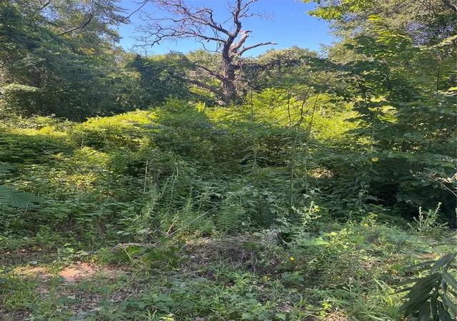 Photo 1 of Land for sale at 0 Ponderosa Dr, Eustace, TX 75124 | MLS# 21319873 | Listing updated on 2026-07-20